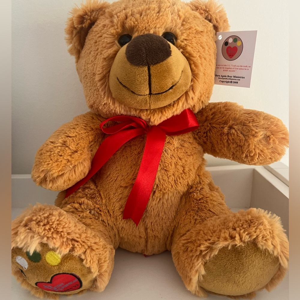 Born Again Bear - share the Good News of Jesus Christ with a sweet bear!